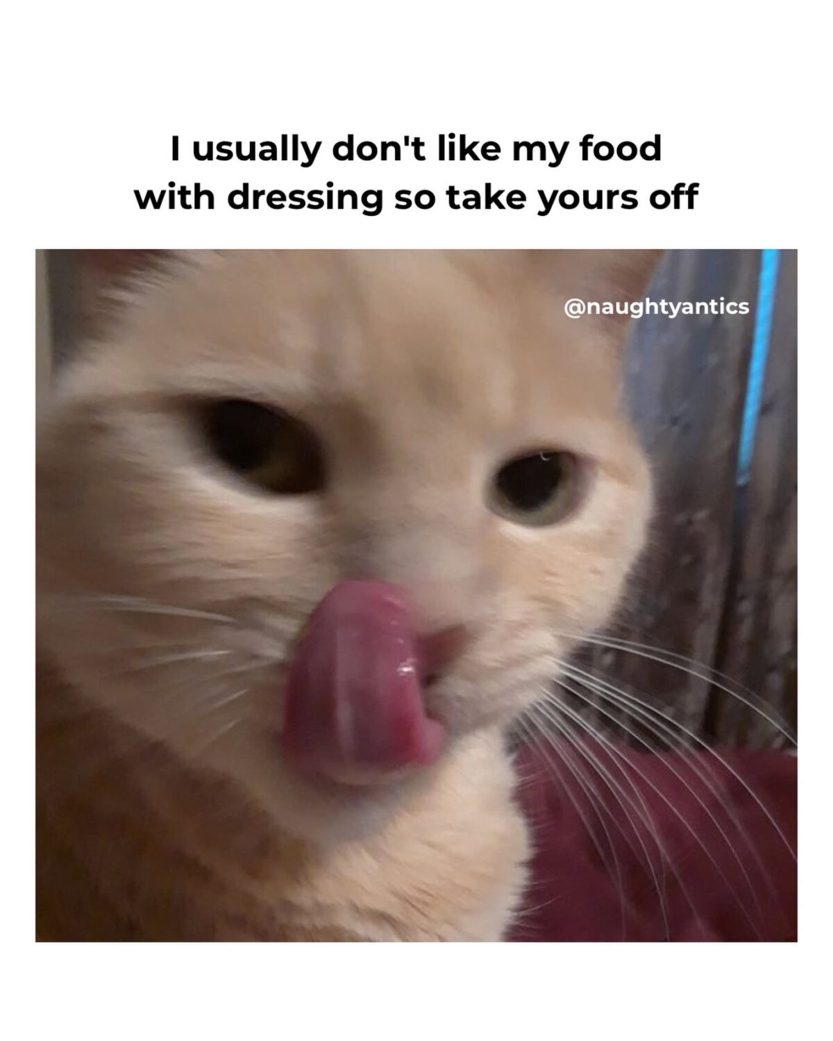 Dont like my food