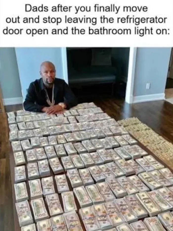 35 Dad Memes That Are Peak Dad Energy 33 Finally move out