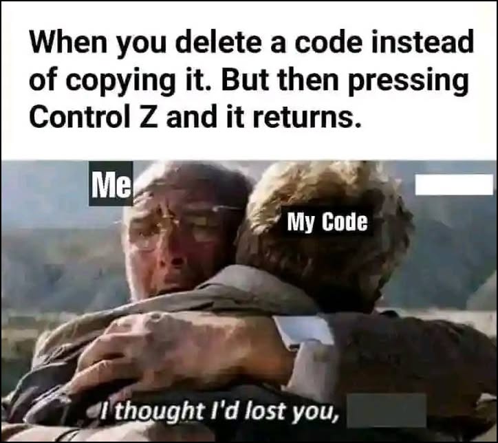 20 Geeky Computer Memes That Will Make Even Non-Geeks Laugh 8 Hen you delete a code