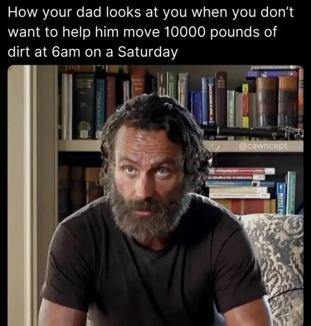 35 Dad Memes That Are Peak Dad Energy 34 How dad looks at you
