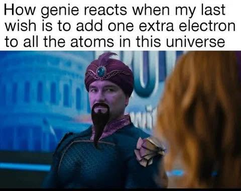 20 Memes That Were Dropped on Their Heads by Fate 10 How the genie reacts