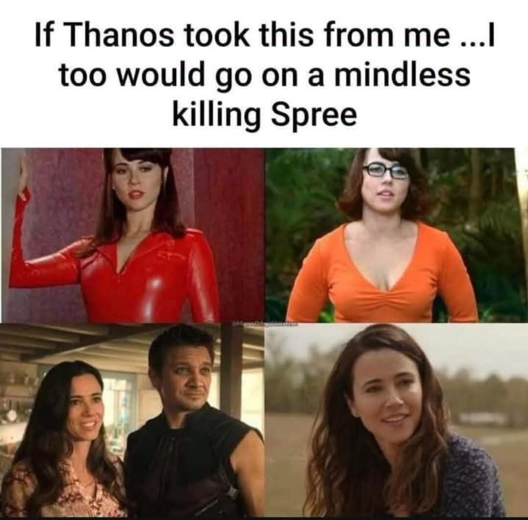 20 Marvel Memes That Have More Twists Than the Multiverse 9 If thanos took this