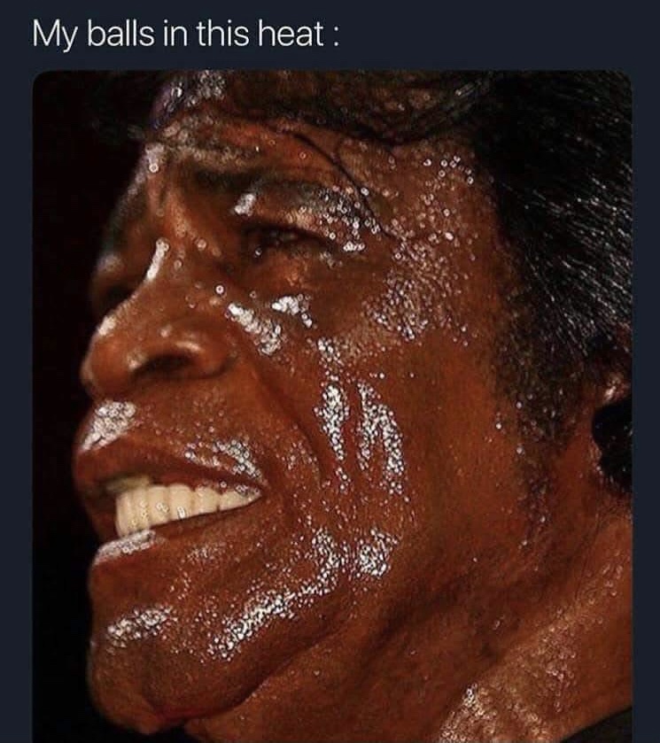 20 Memes That Keep One Foot in Comedy and the Other in Chaos 12 In this heat
