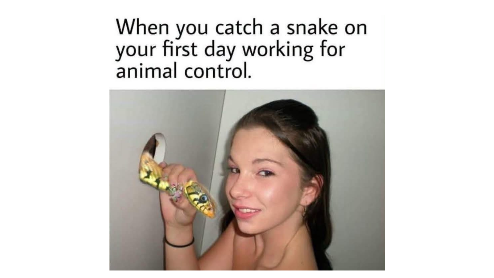 Memes That Got Weird Horny and Hilarious FG