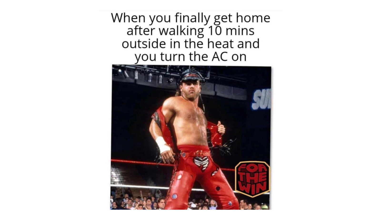 Memes That Have No Consistent Energy 2.jpeg