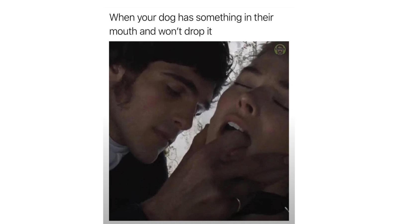 Memes That Hit Like a Joke You Didnt See Coming FG