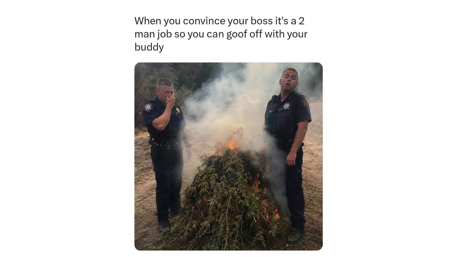 Memes That Keep One Foot in Comedy and the Other in Chaos FG