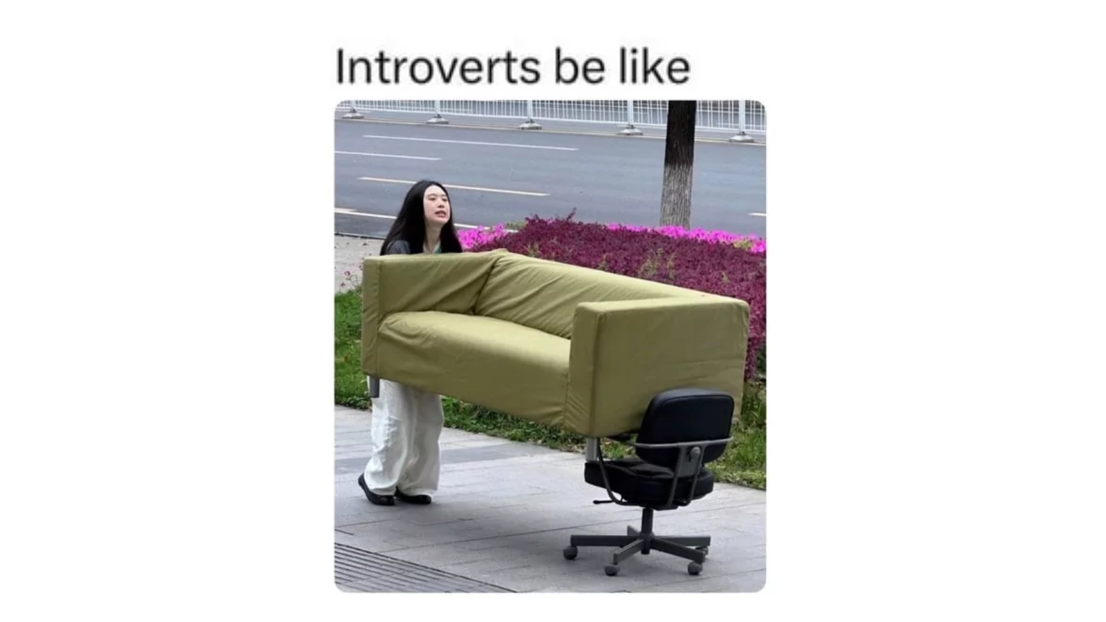 Memes for Introverts Celebrating Solitude FG
