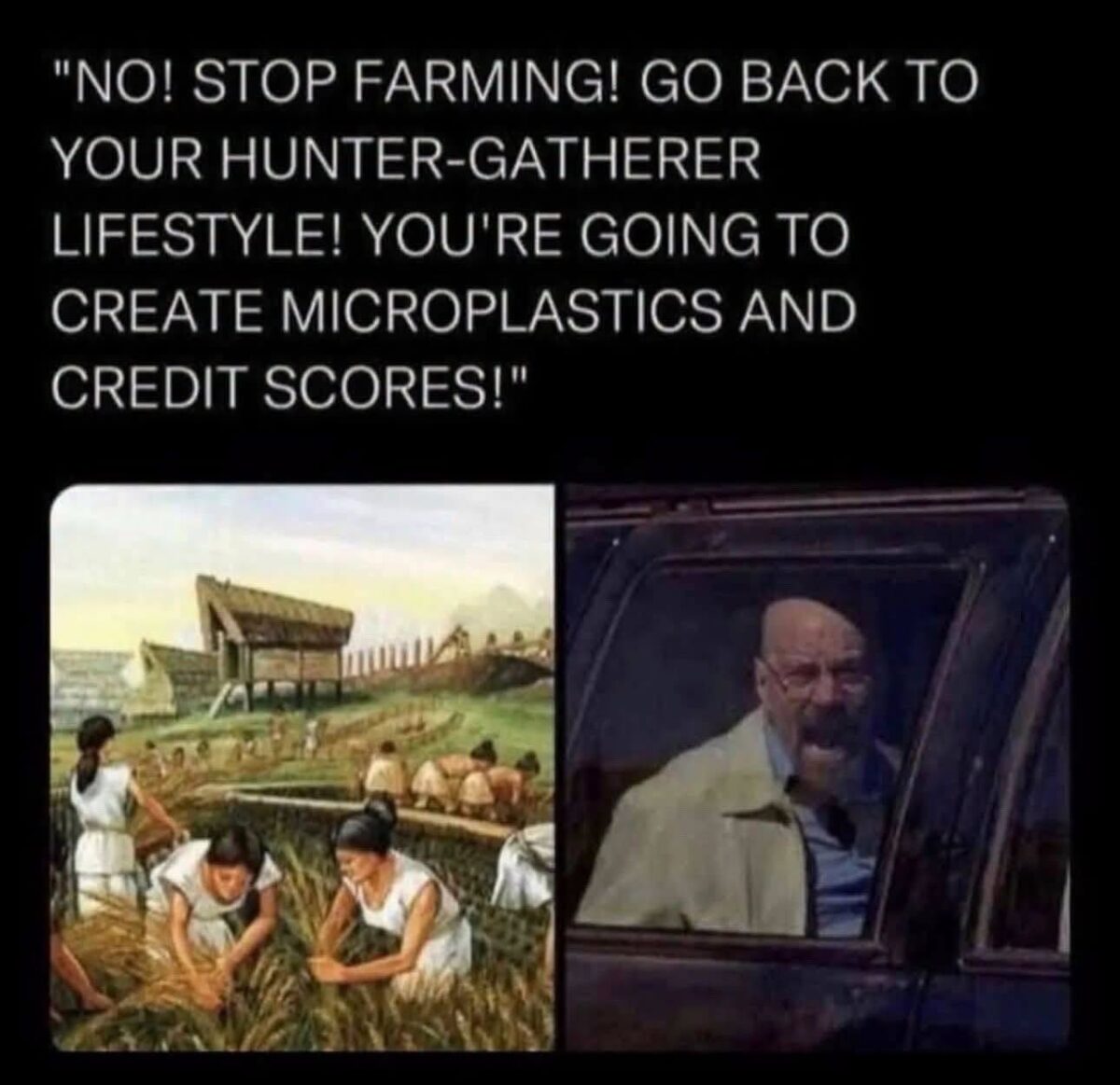 20 Memes That Lost a Fight With Common Sense and Won Anyway 17 Stop farming