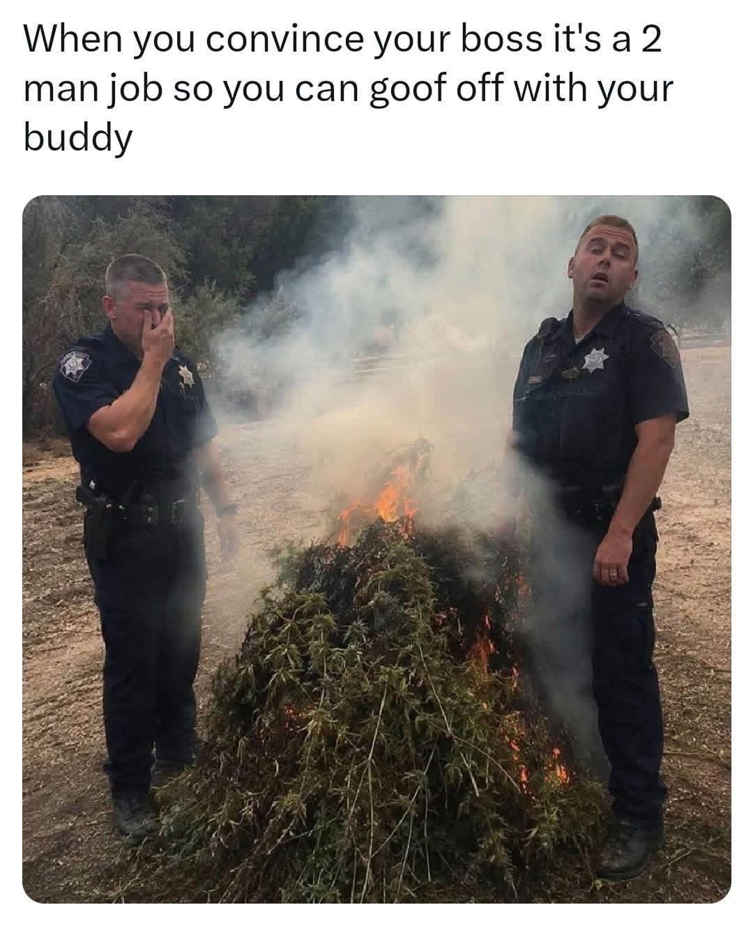20 Memes That Keep One Foot in Comedy and the Other in Chaos 20 When you convince your boss