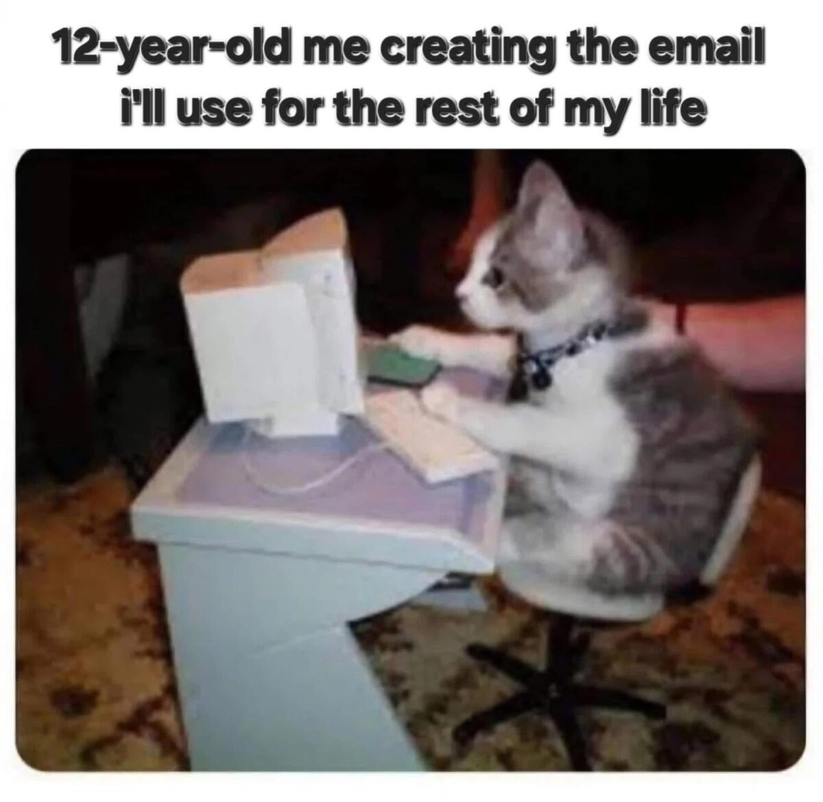 20 Memes That Lost a Fight With Common Sense and Won Anyway 8 creating the email