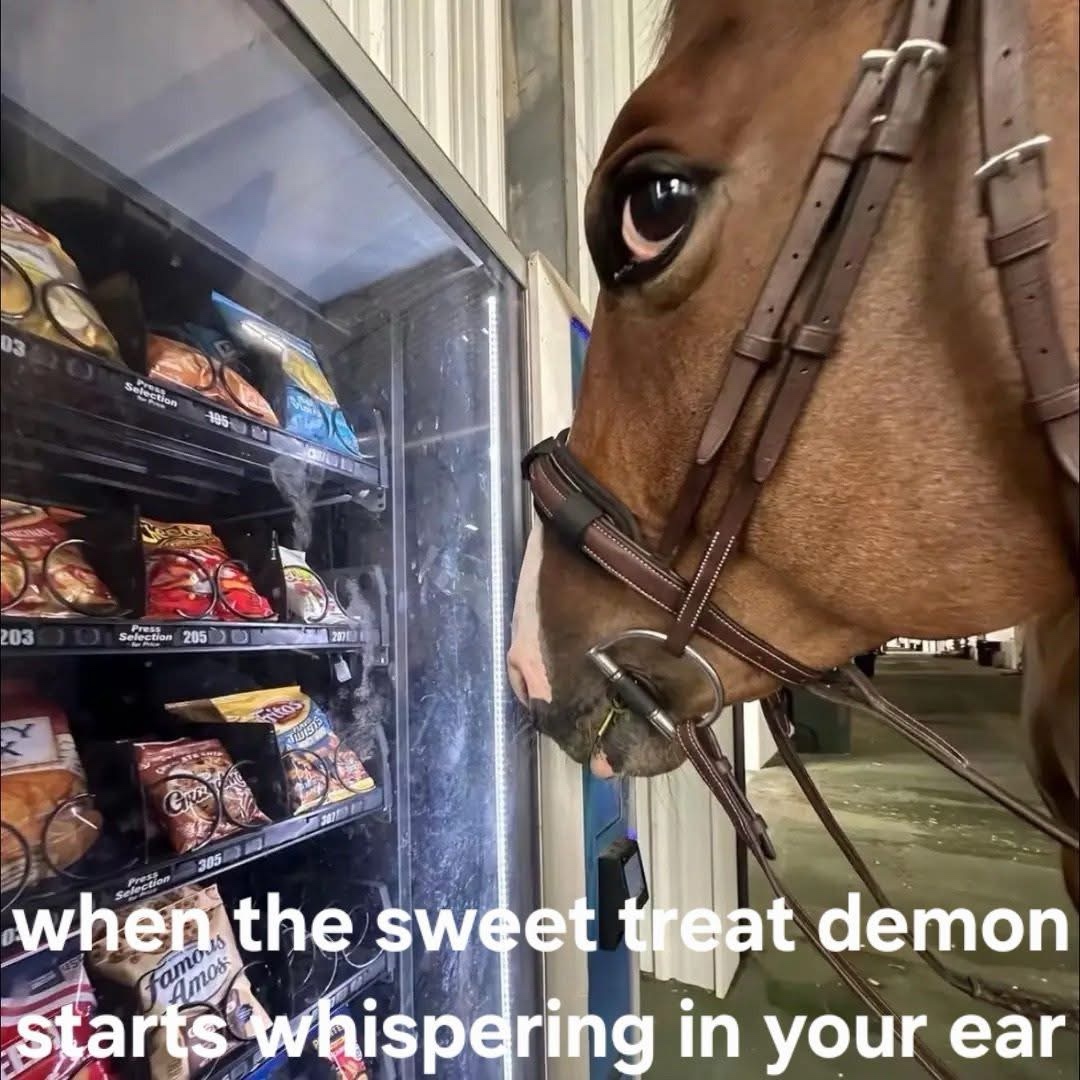 20 Memes That Keep One Foot in Comedy and the Other in Chaos 8 eet treat demon