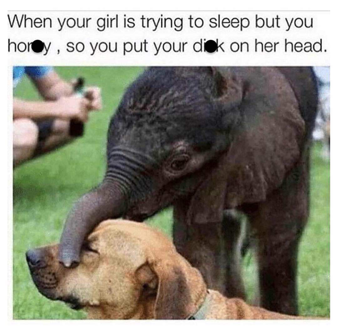 35 Unholy Memes That’ll Make Your Guardian Angel Resign 33 girl trying to sleep