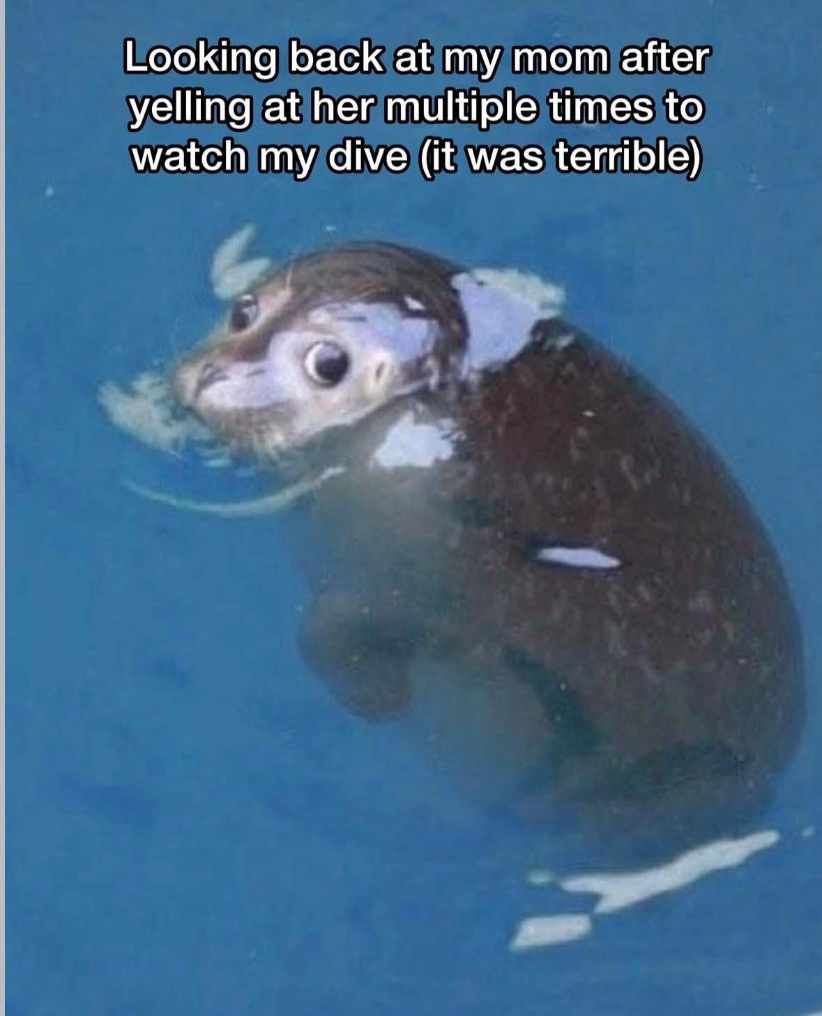 20 Memes That Keep One Foot in Comedy and the Other in Chaos 13 looking back atr mom