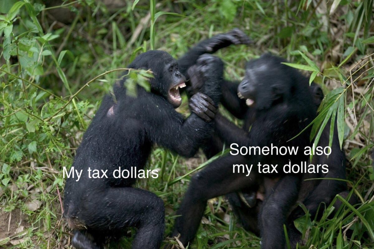 20 Memes That Were Dropped on Their Heads by Fate 16 my tax dollar