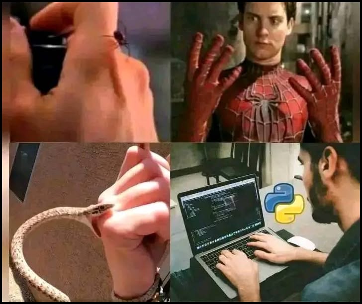20 Geeky Computer Memes That Will Make Even Non-Geeks Laugh 15 python vs spiderman