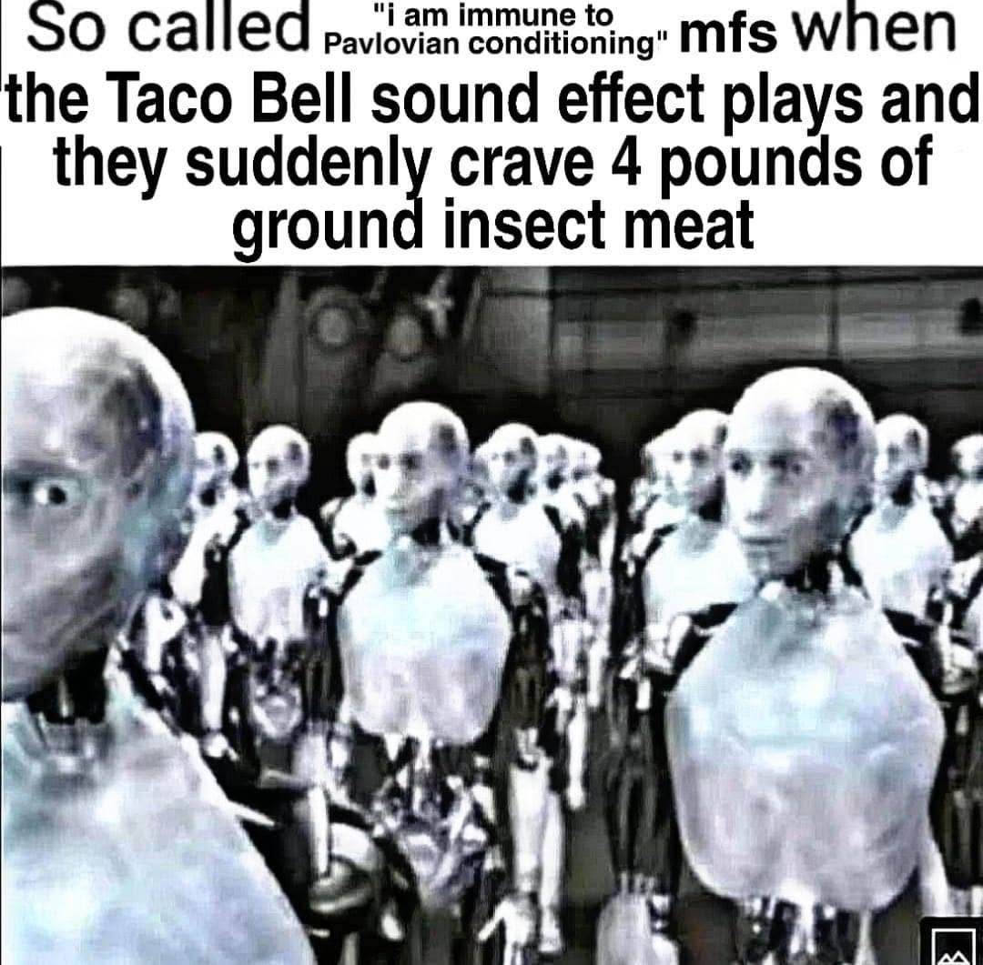 20 Memes That Were Dropped on Their Heads by Fate 20 taco bell sound
