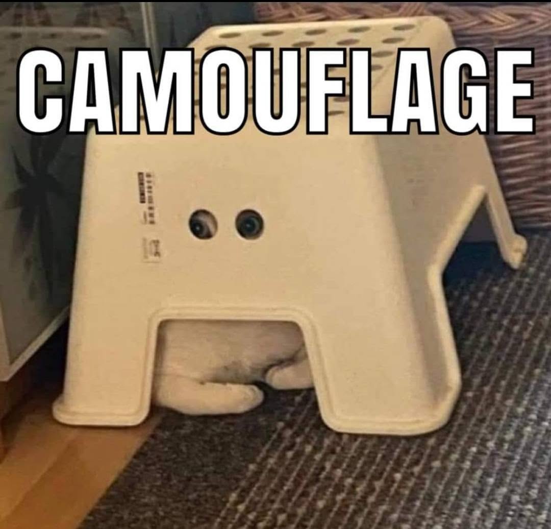 20 Memes With No Bottom Text and Absolutely No Need for One 4 Camouflage
