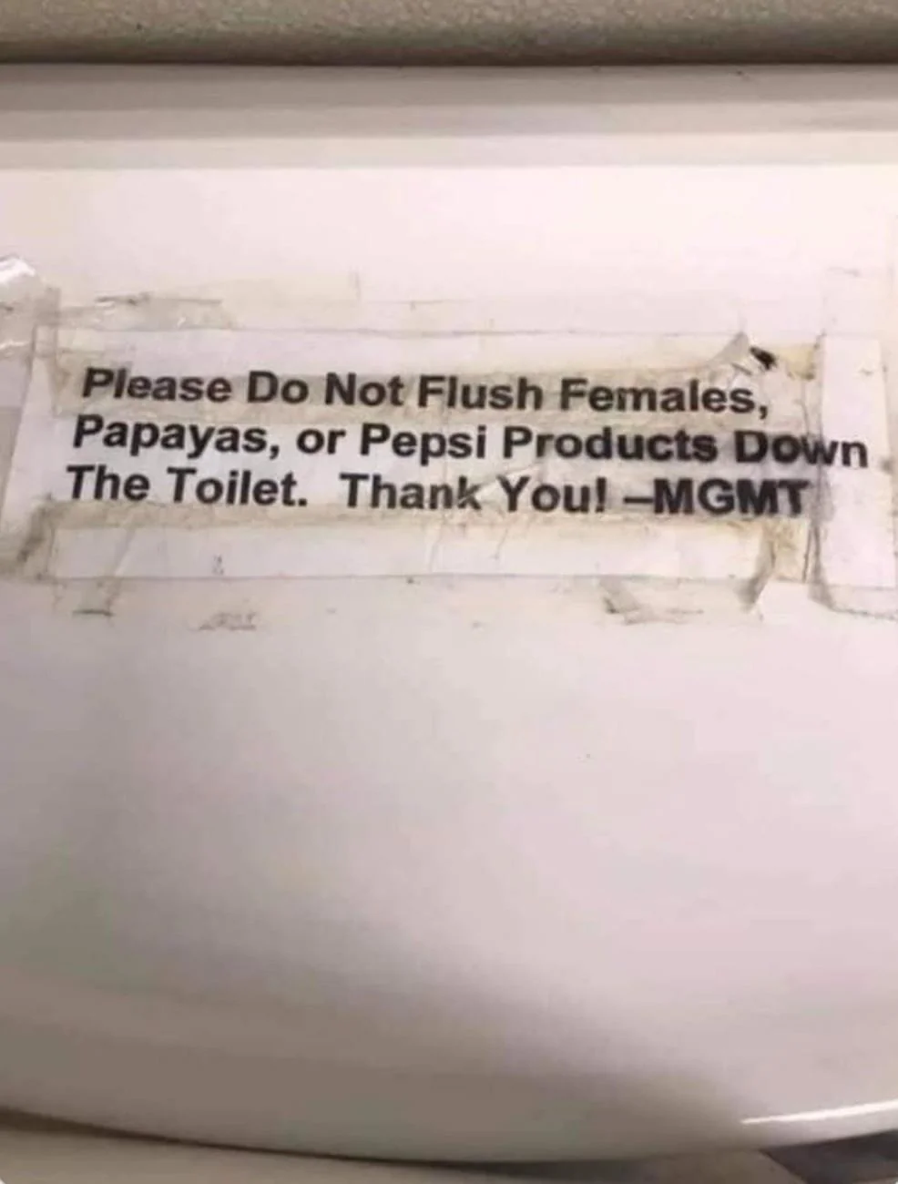 20 Funny Translation Gems That Went Off Script and Straight Into Comedy 8 Do not flush females.