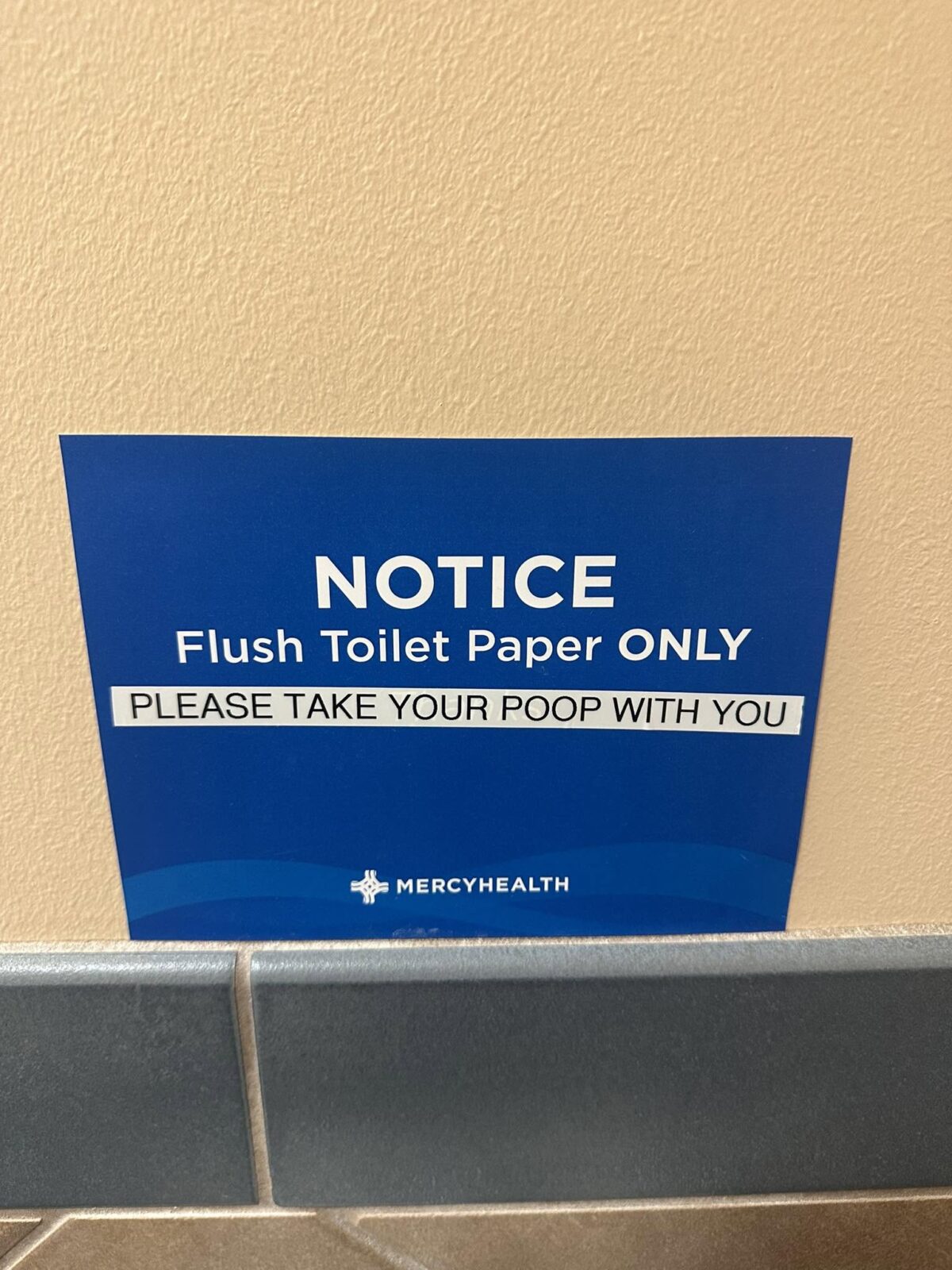 20 Unhelpful Signs That Turned Instructions Into Abstract Art 9 Flush toilet paper only