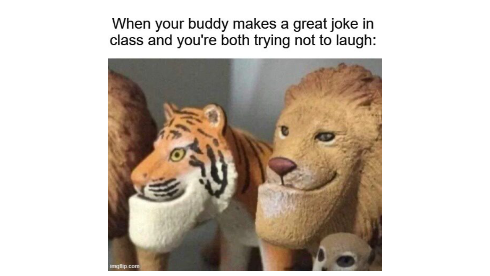 Fun Memes That Will Distract You From Dull Things FG