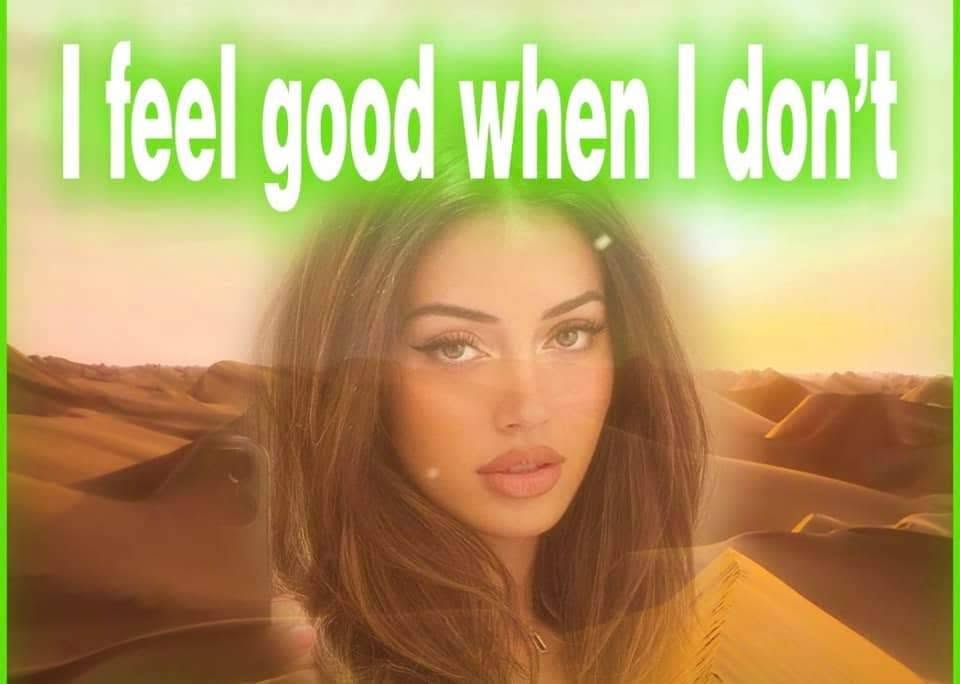 20 Memes With No Bottom Text and Absolutely No Need for One 8 I feel good