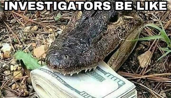 20 Memes With No Bottom Text and Absolutely No Need for One 12 Investigators be like