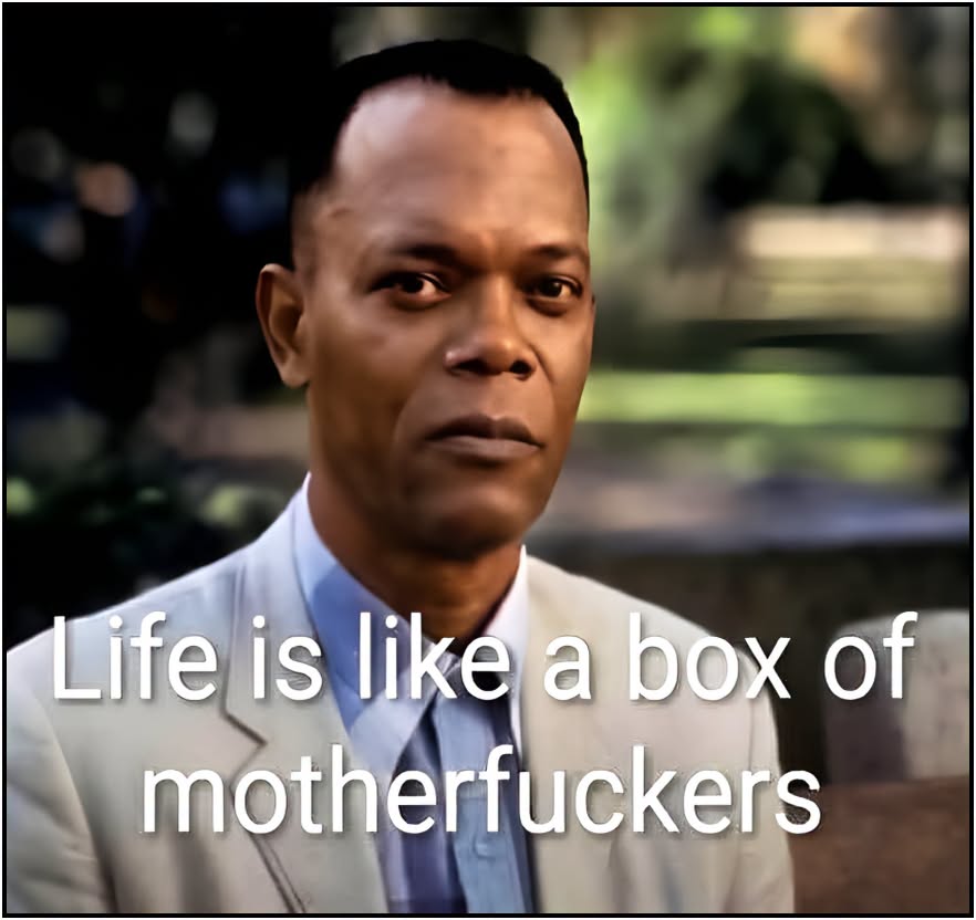 20 Memes That Put the “Oh Damn” in “Oh, Damn” 13 Life is like a box