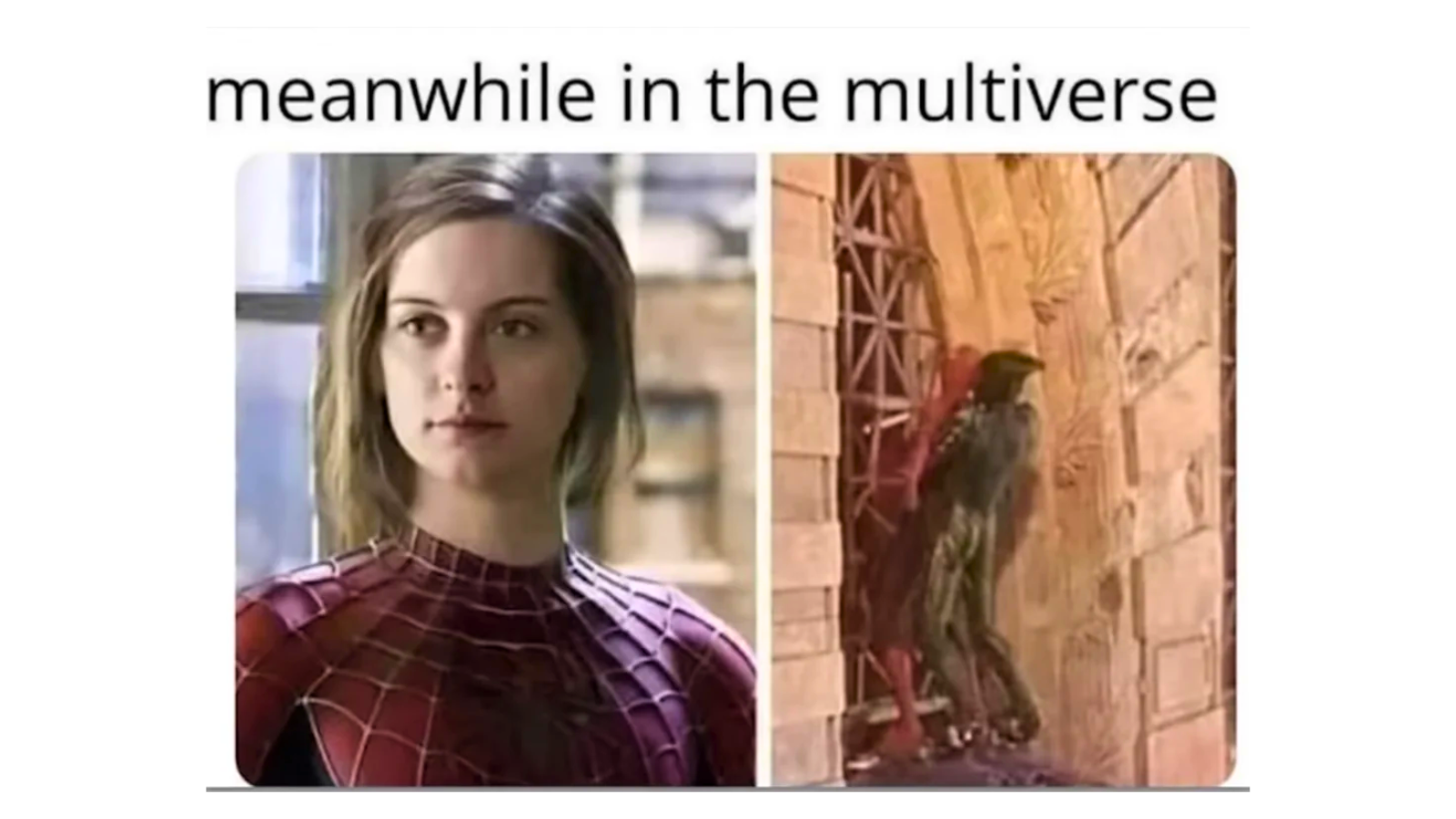 Memes That Dont Even Pretend to Behave FG