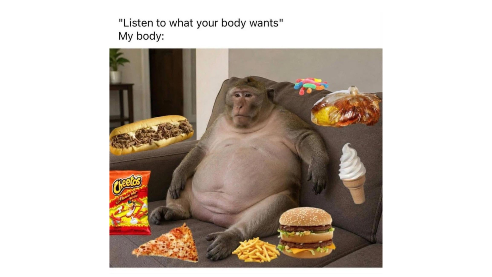 Memes That Nobody Ordered but Somehow Everybody Needed FG