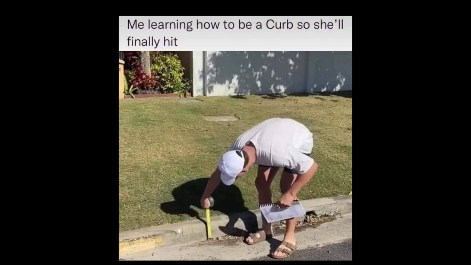 Memes That Said Why Not to Literally Everything FG