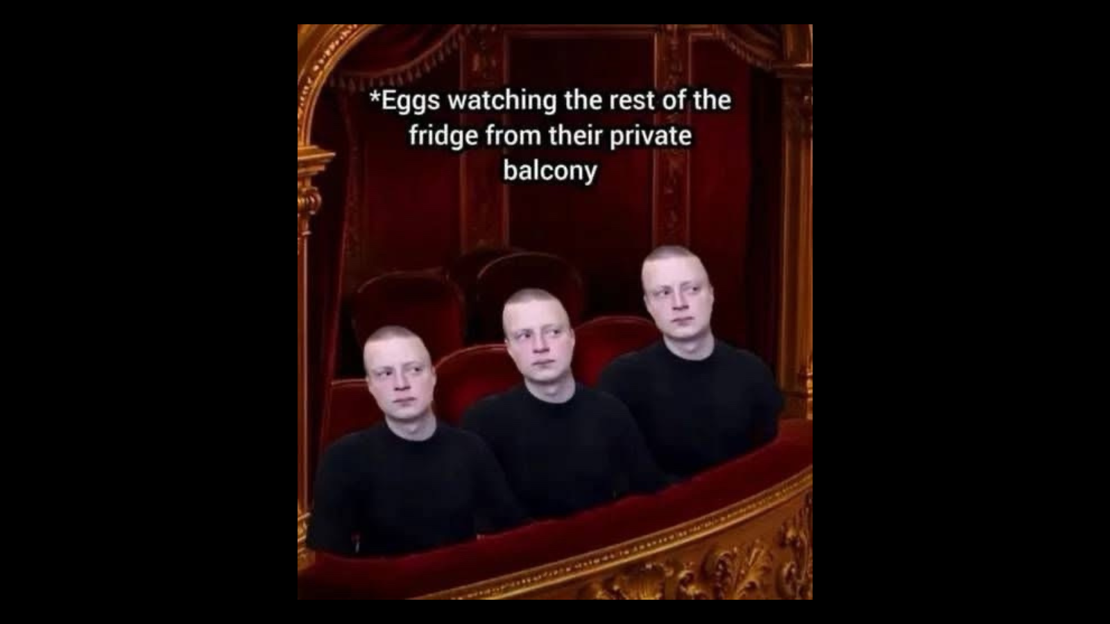 Memes for People Who Refuse to Have Just One Sense of Humor FG