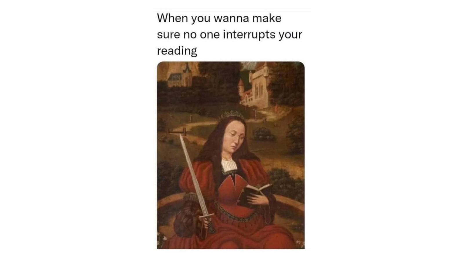 Reading Memes That Know Exactly How Deep the Book Addiction Goes FG
