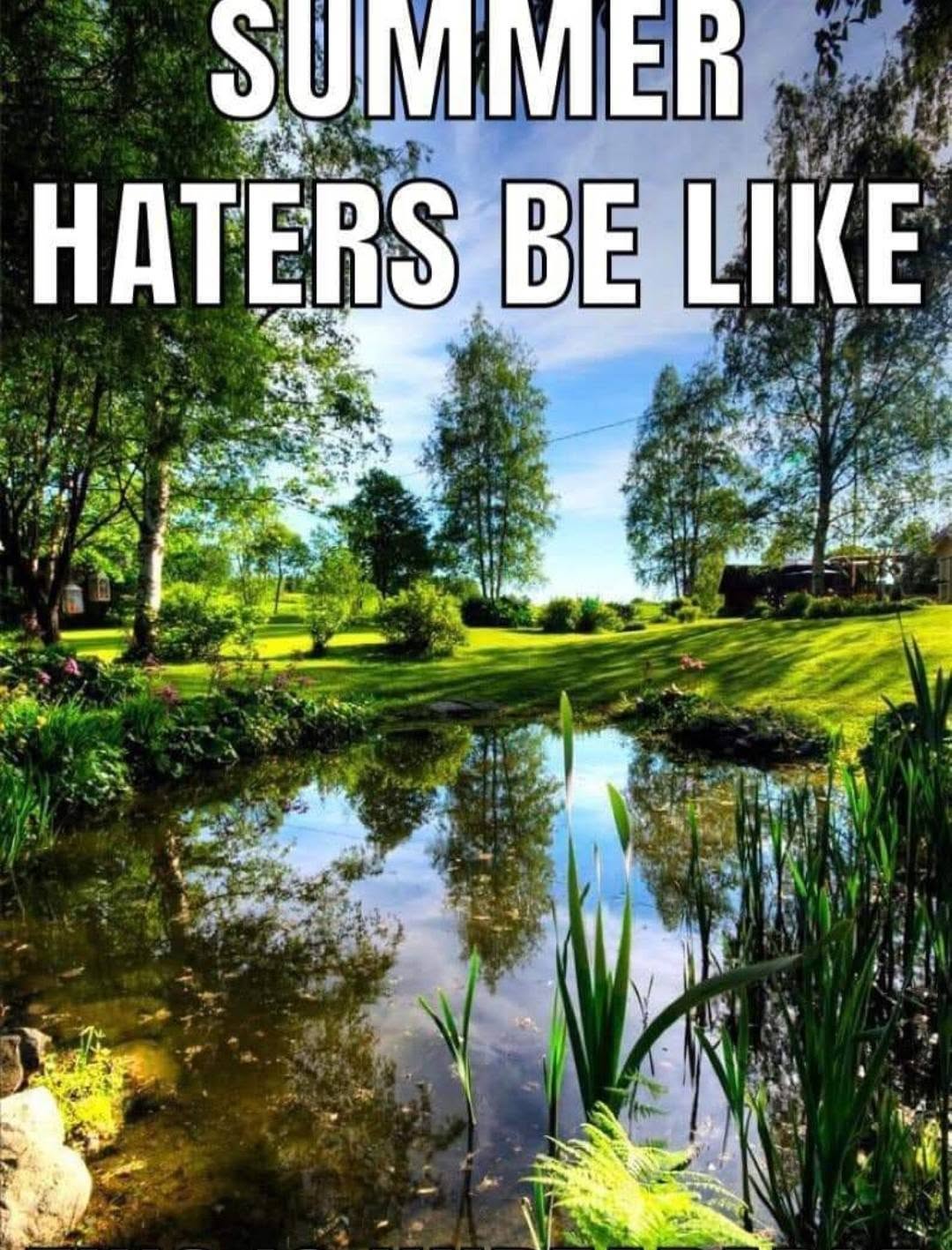 20 Memes With No Bottom Text and Absolutely No Need for One 17 Summer haters be like