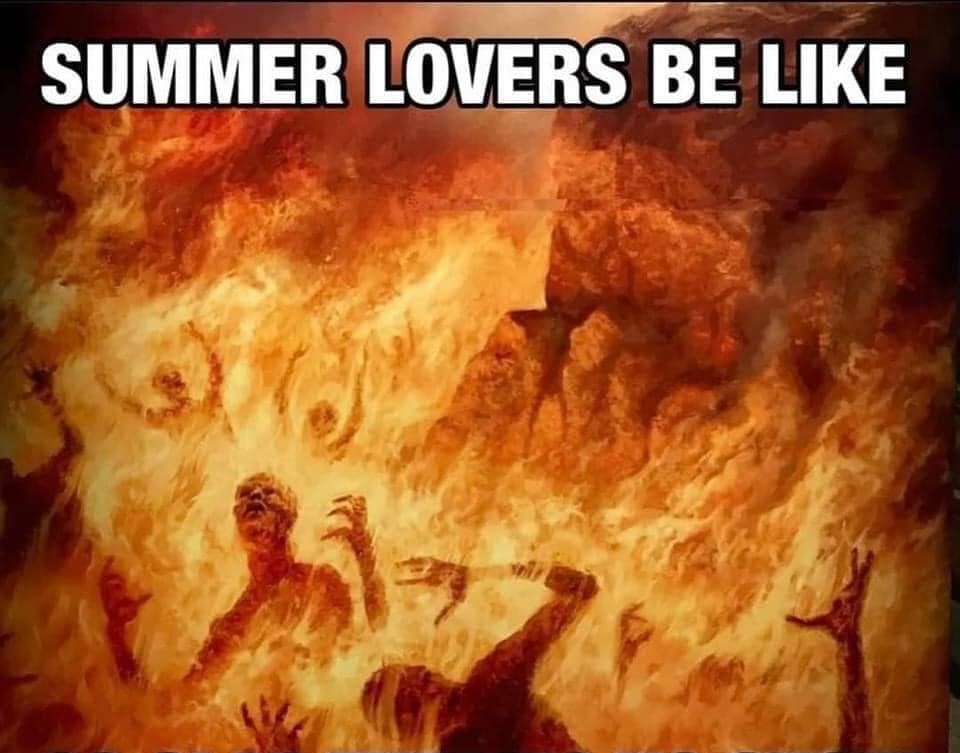 20 Memes With No Bottom Text and Absolutely No Need for One 18 Summer lovers be like