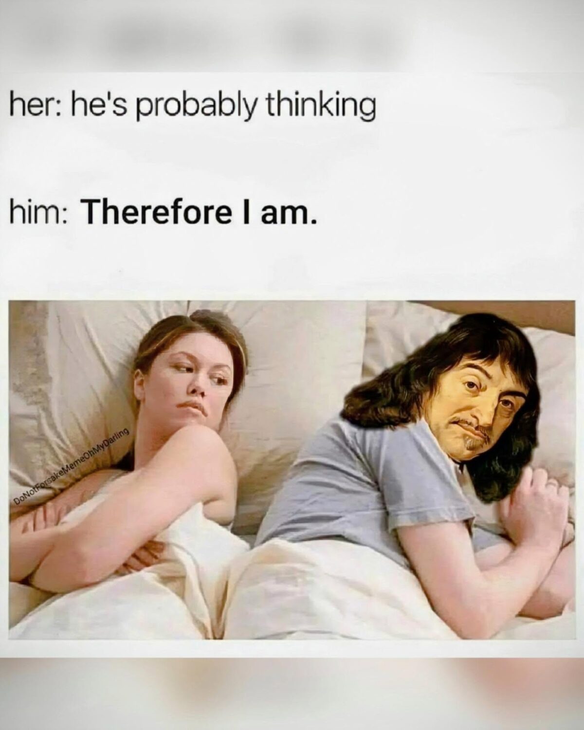 20 Memes That Are Weirdly Qualified to Judge Humanity 20 Therefore Iam