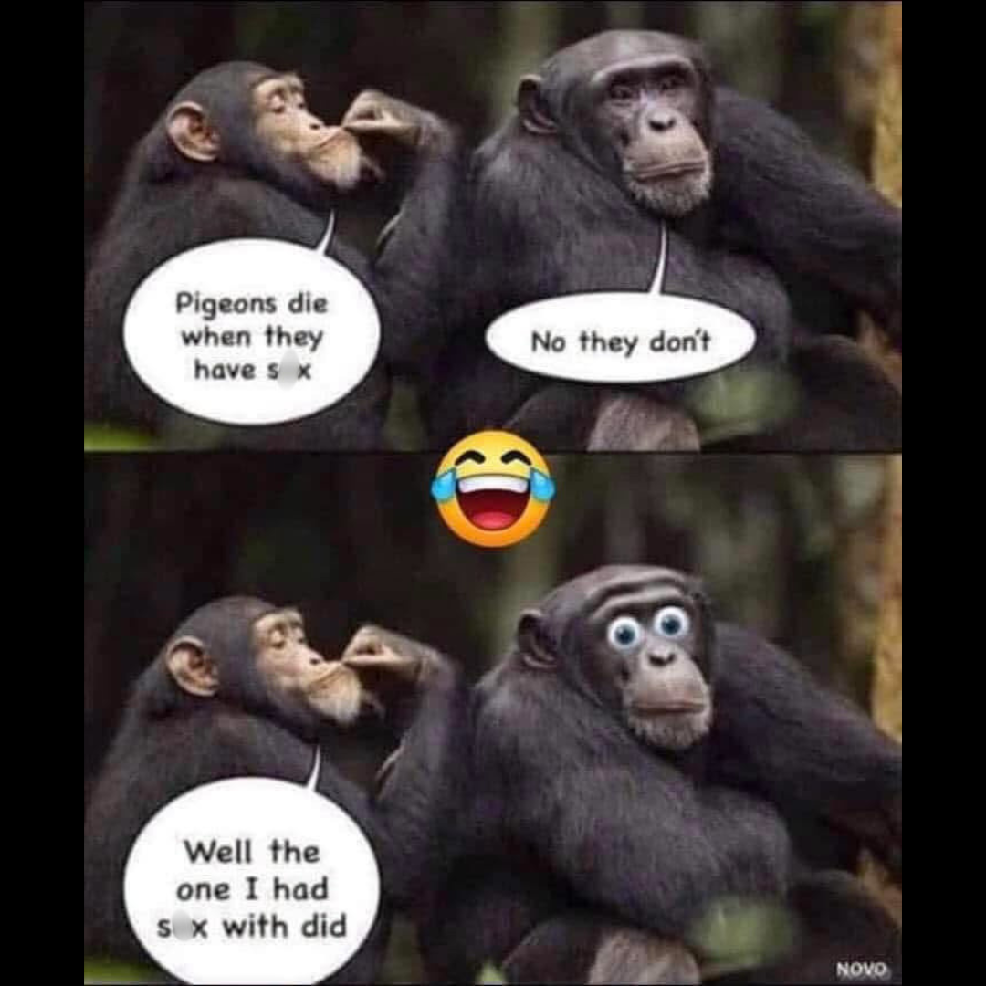 20 Dank Memes That Violated the Geneva Convention of Humor 17 Well the one I had