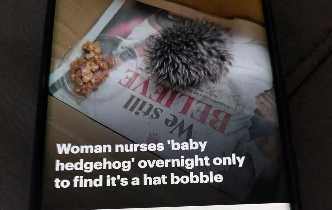 20 Silly British Things That Could Only Happen in Britain 20 Woman nurses baby hedgehog overnight only to find its a hat bobble