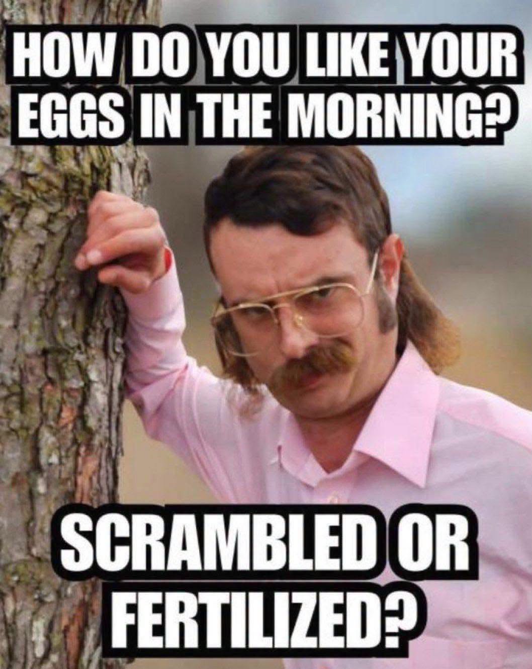 20 Dank Memes That Violated the Geneva Convention of Humor 9 ow do you like your eggs