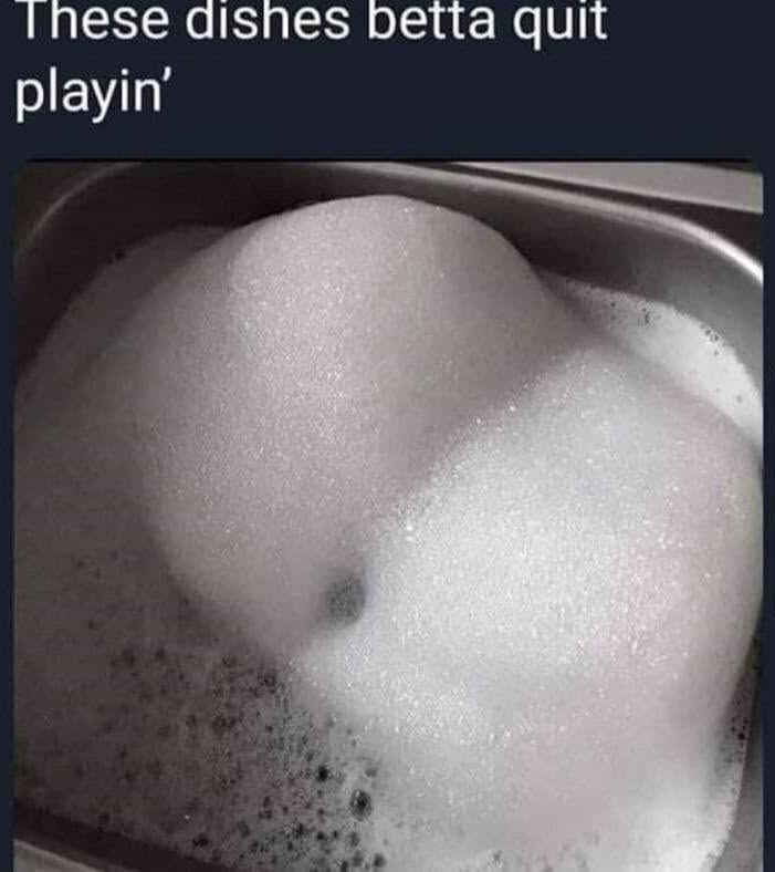 20 Memes That Are Chemically Incompatible With Sincere Conversations 6 Dishes betta quit playin