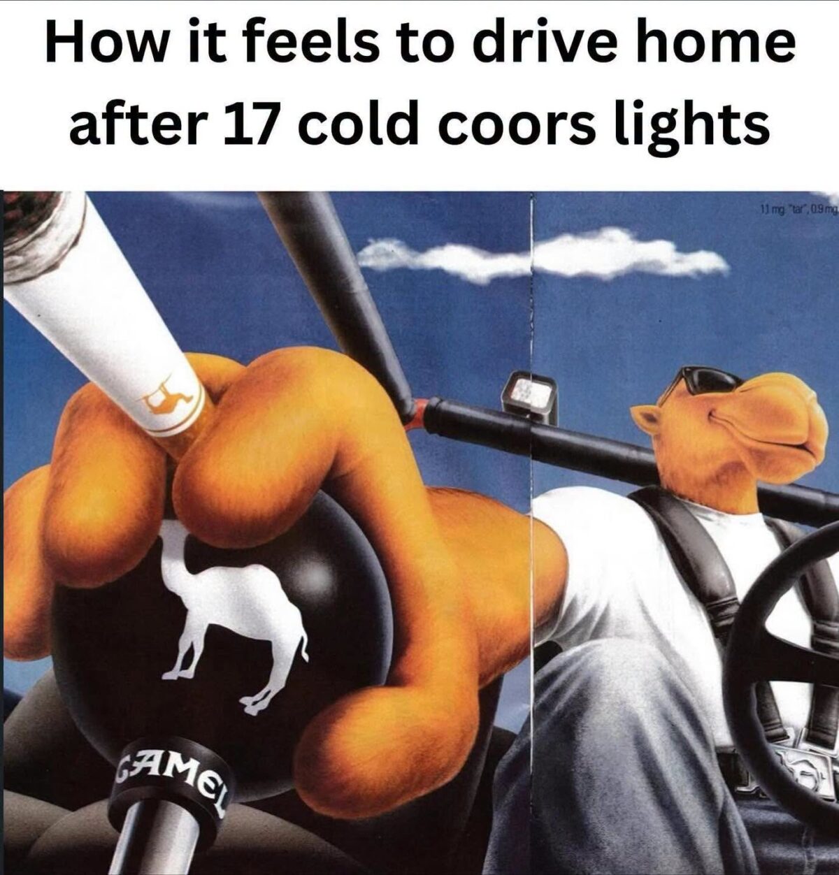 20 Raunchy and Rude Memes That Cross Every Single Social Boundary 11 How it feels to drive gme