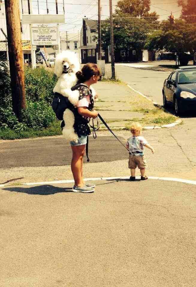 20 Unbelievable Fails That Belong in a Museum of Regret 11 I really think we need to discuss your position here babysitter.