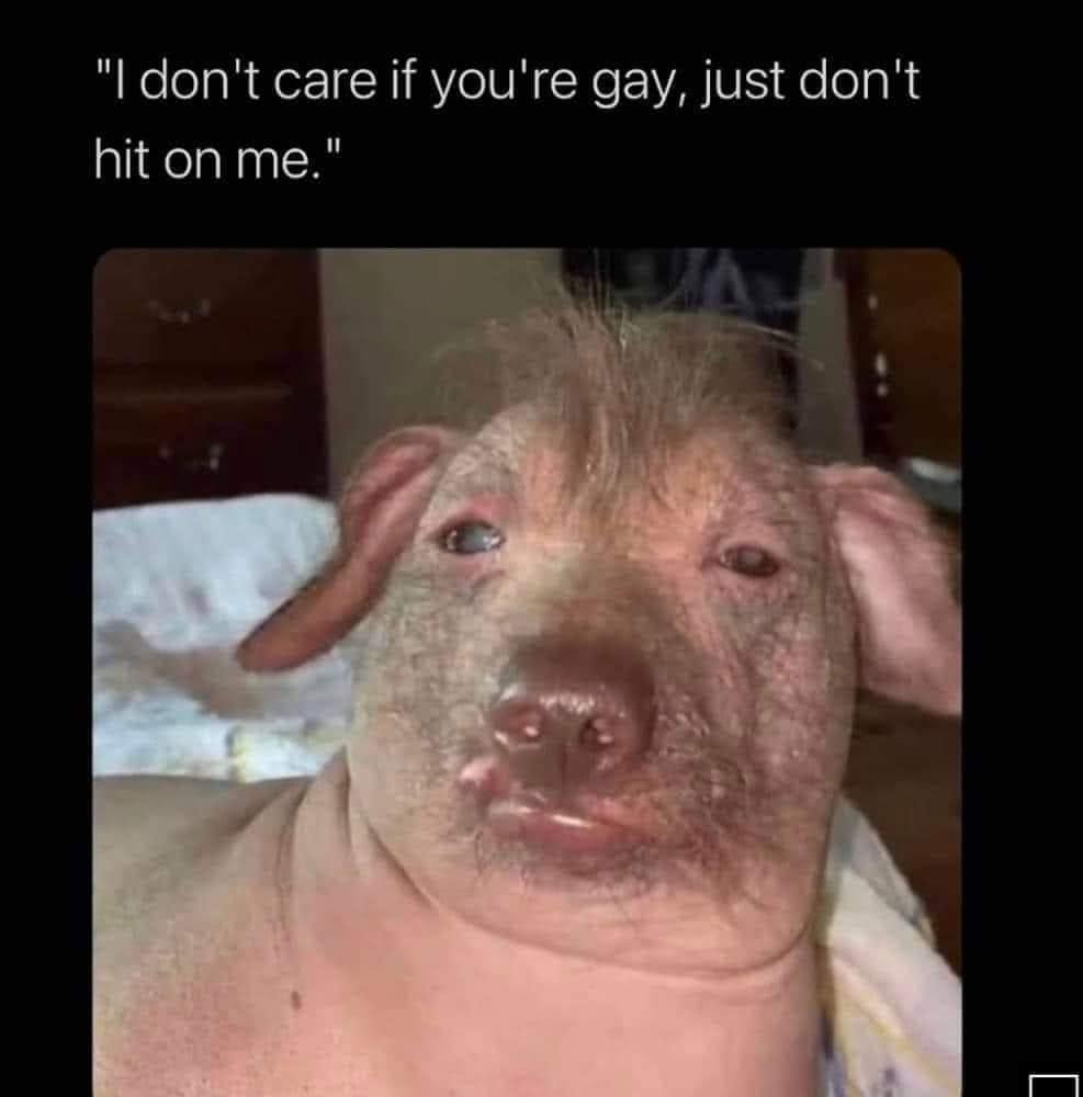 20 Memes That Are Chemically Incompatible With Sincere Conversations 11 Just dont hit on me