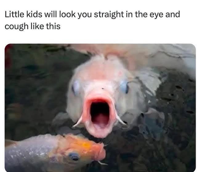 20 Memes That Are Chemically Incompatible With Sincere Conversations 13 Little kids will look you straight