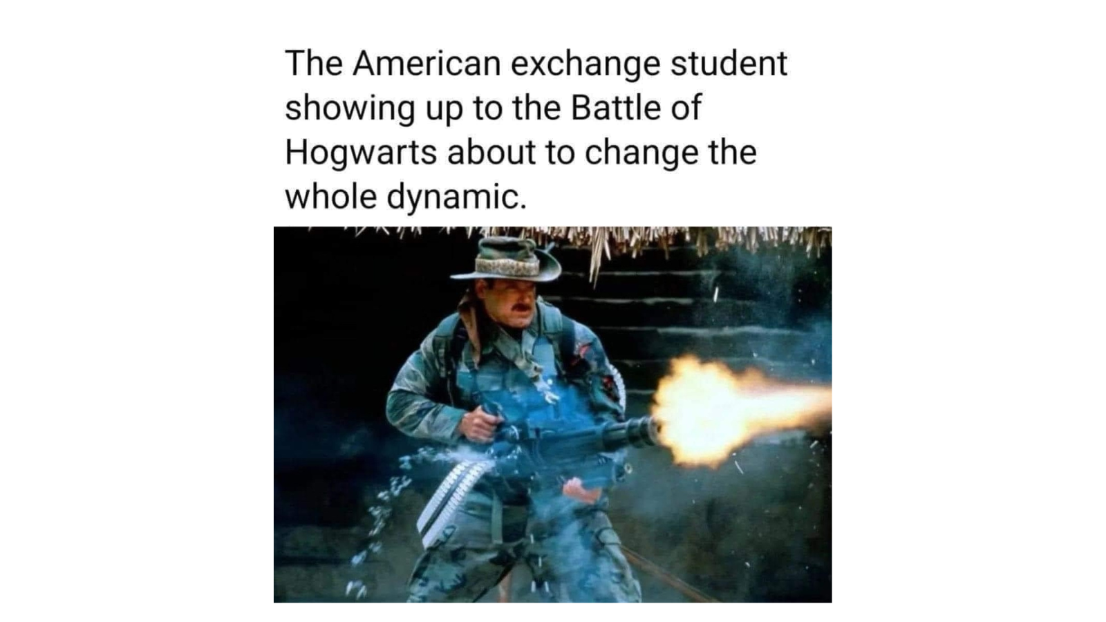 Memes That Could Only Be Described as Whatever This Is FG