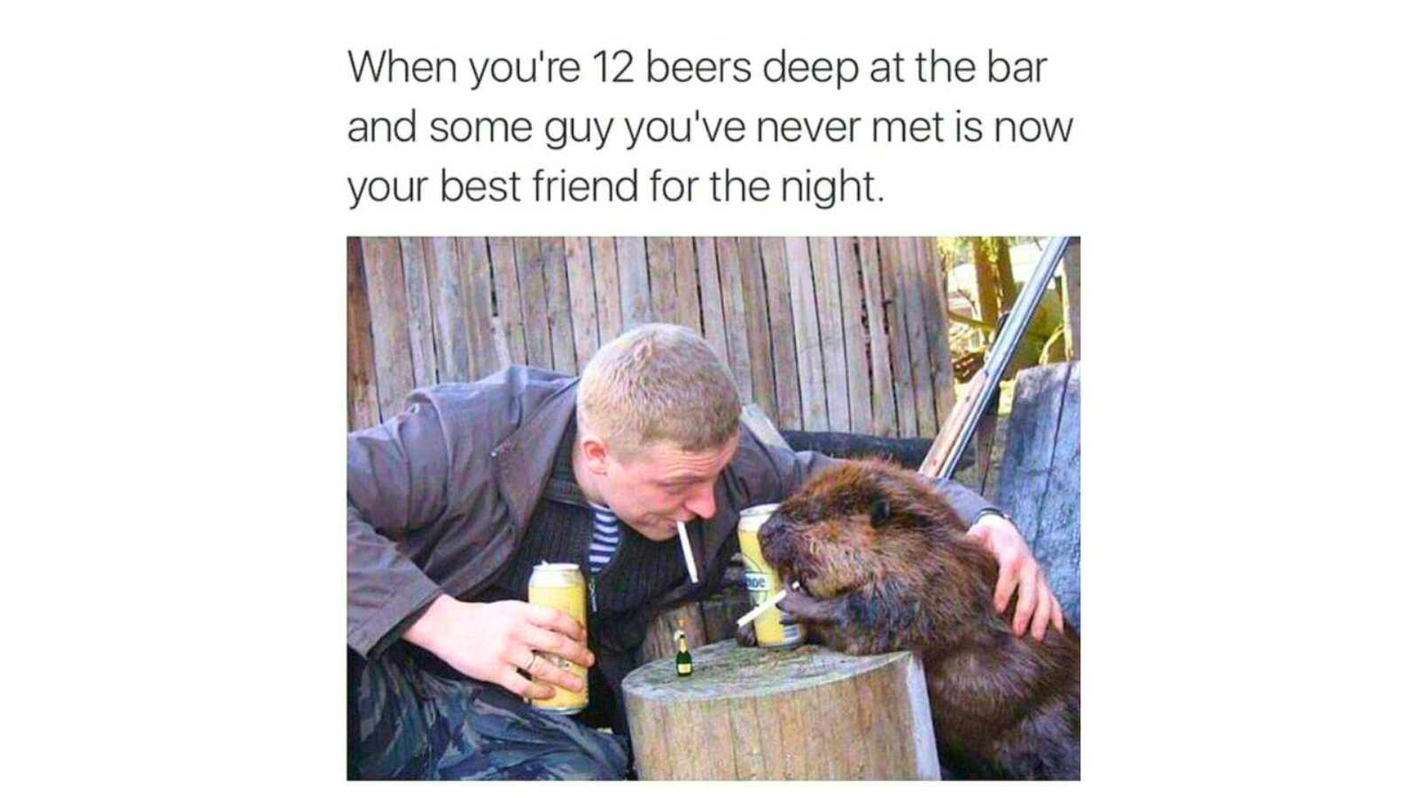 Memes That Somehow Cover Every Topic Except the One You Expected FG