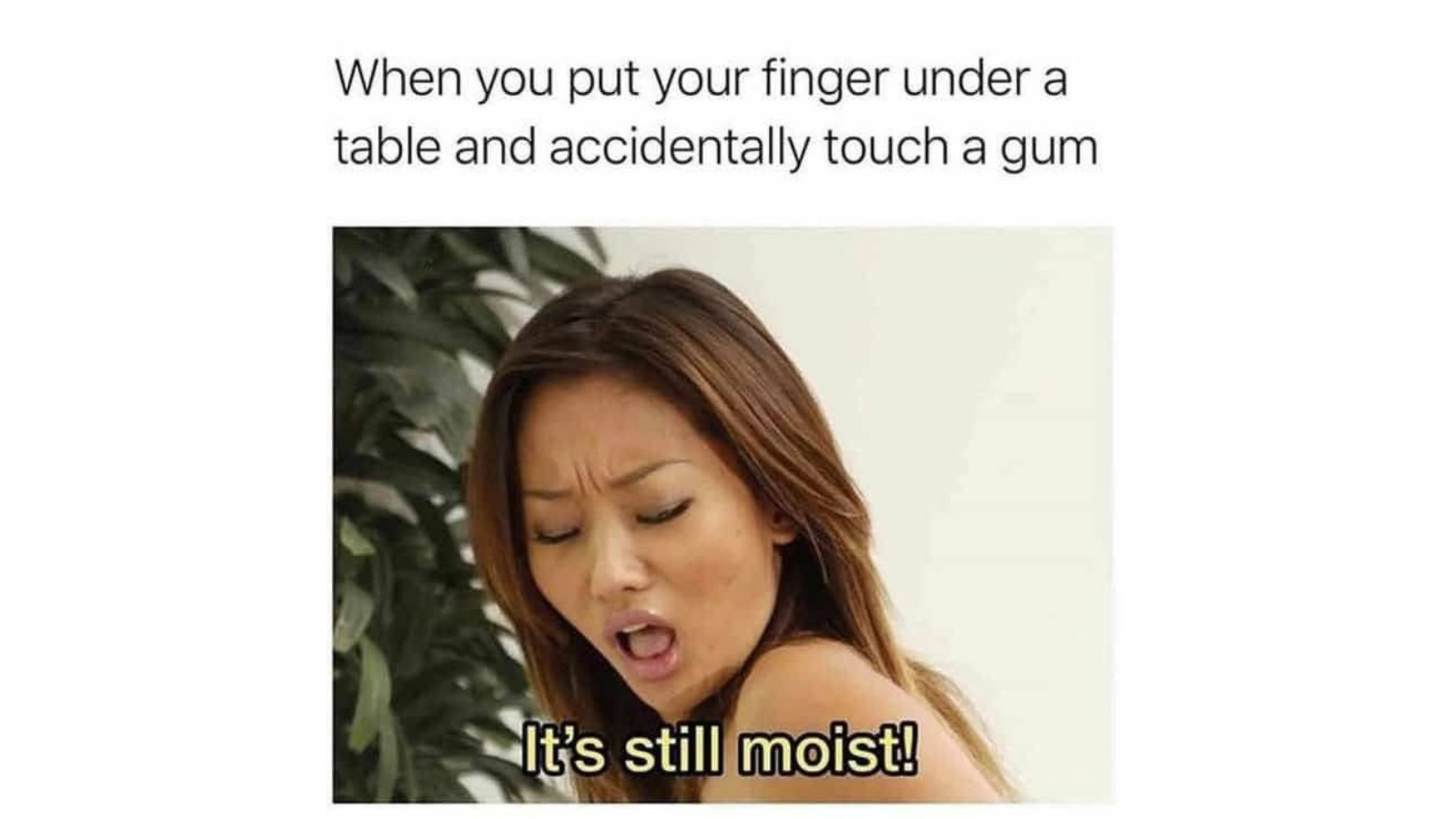 Memes That Will Destroy Whats Left of Your Innocence FG