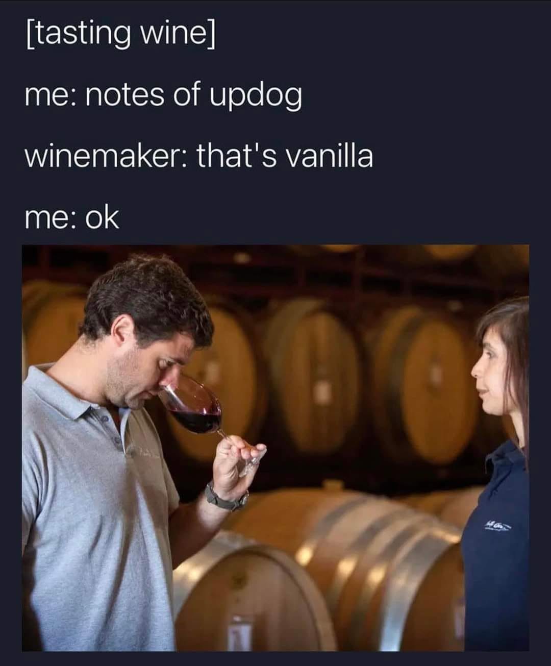 20 Memes That Are Chemically Incompatible With Sincere Conversations 16 Notes of updog