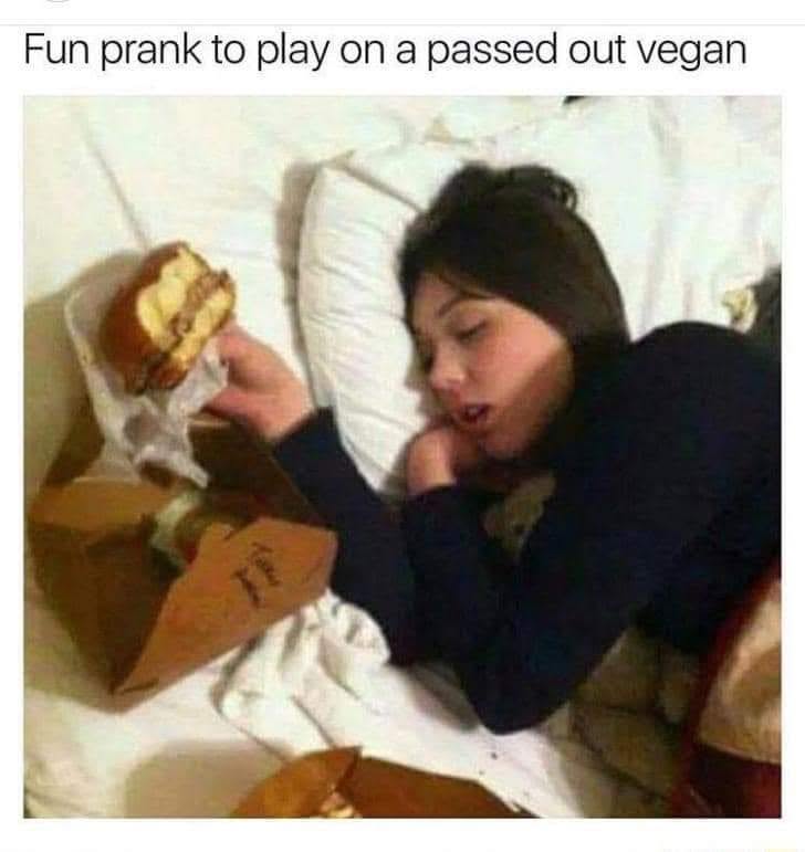20 Memes That Are Chemically Incompatible With Sincere Conversations 17 Prank to play on vegan