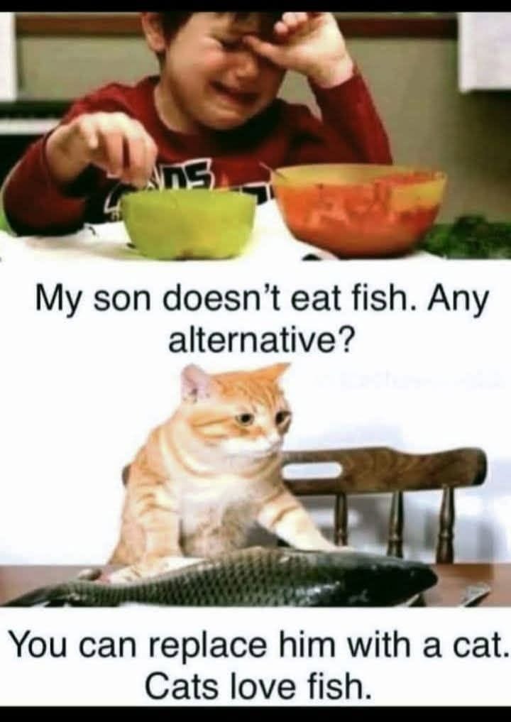 20 Memes That Are Chemically Incompatible With Sincere Conversations 19 Son doent eat fish